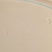 Lunéville porcelain serving dish