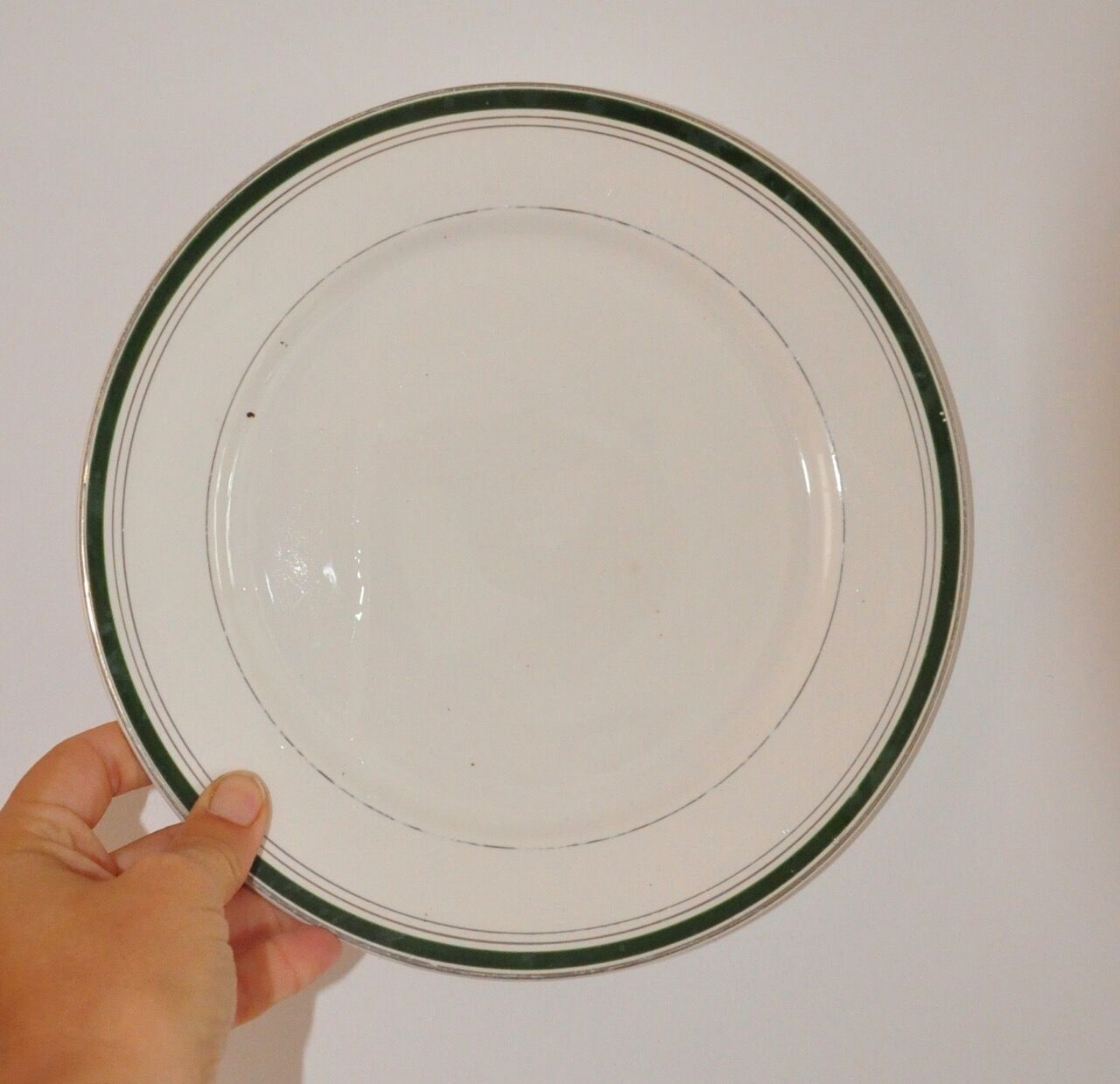 Service of 8 plates Digoin Sarreguemines