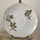 Vintage porcelain herbarium service 6 cups with plates