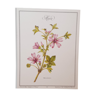 Purple botanical board