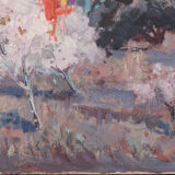 Paysage de fleurs d’amandier