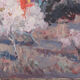 Paysage de fleurs d’amandier