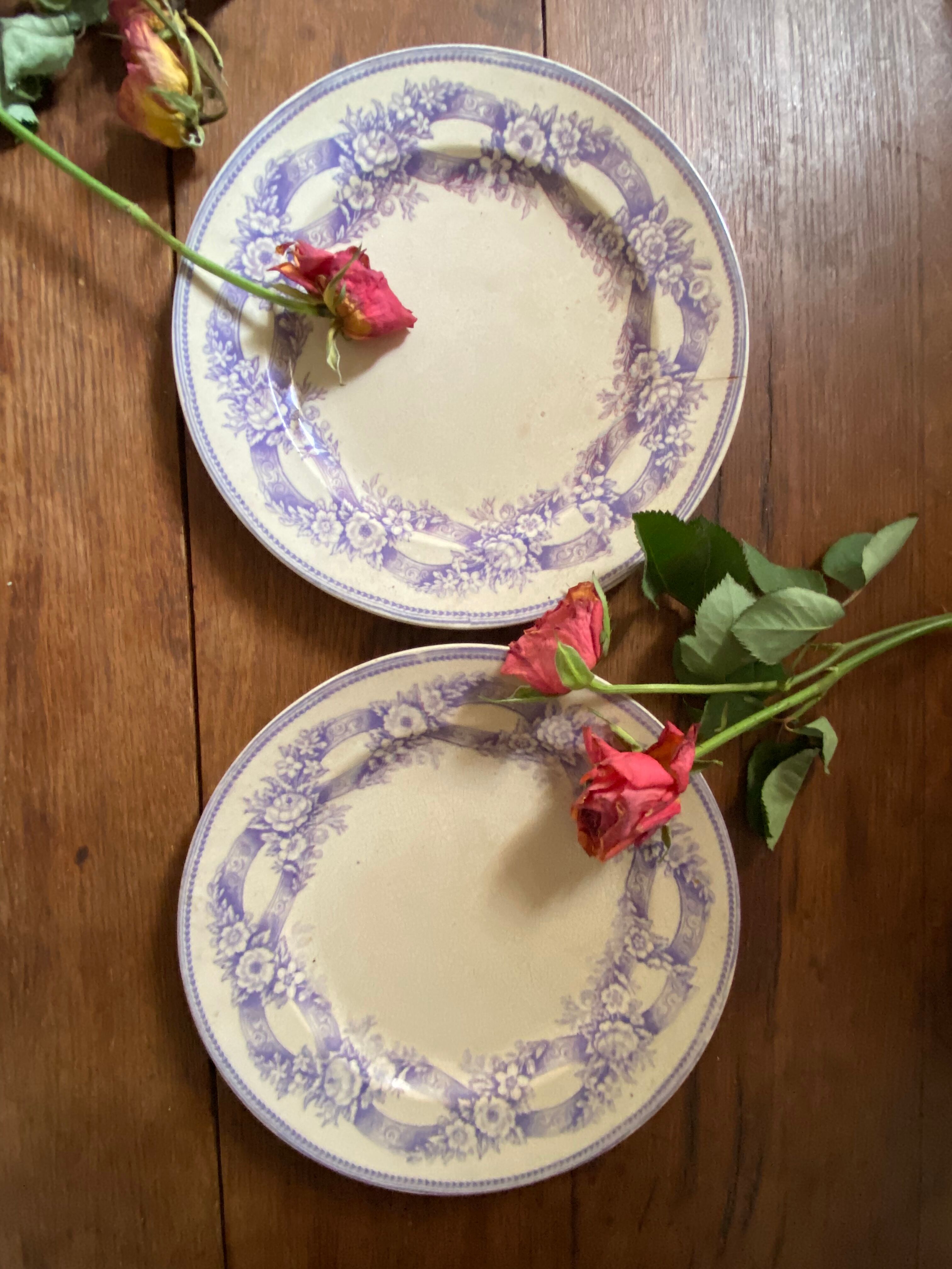 Two plates serve lavender-colored iron earth.