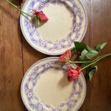 Two plates serve lavender-colored iron earth.