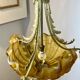 Lustre coquillage