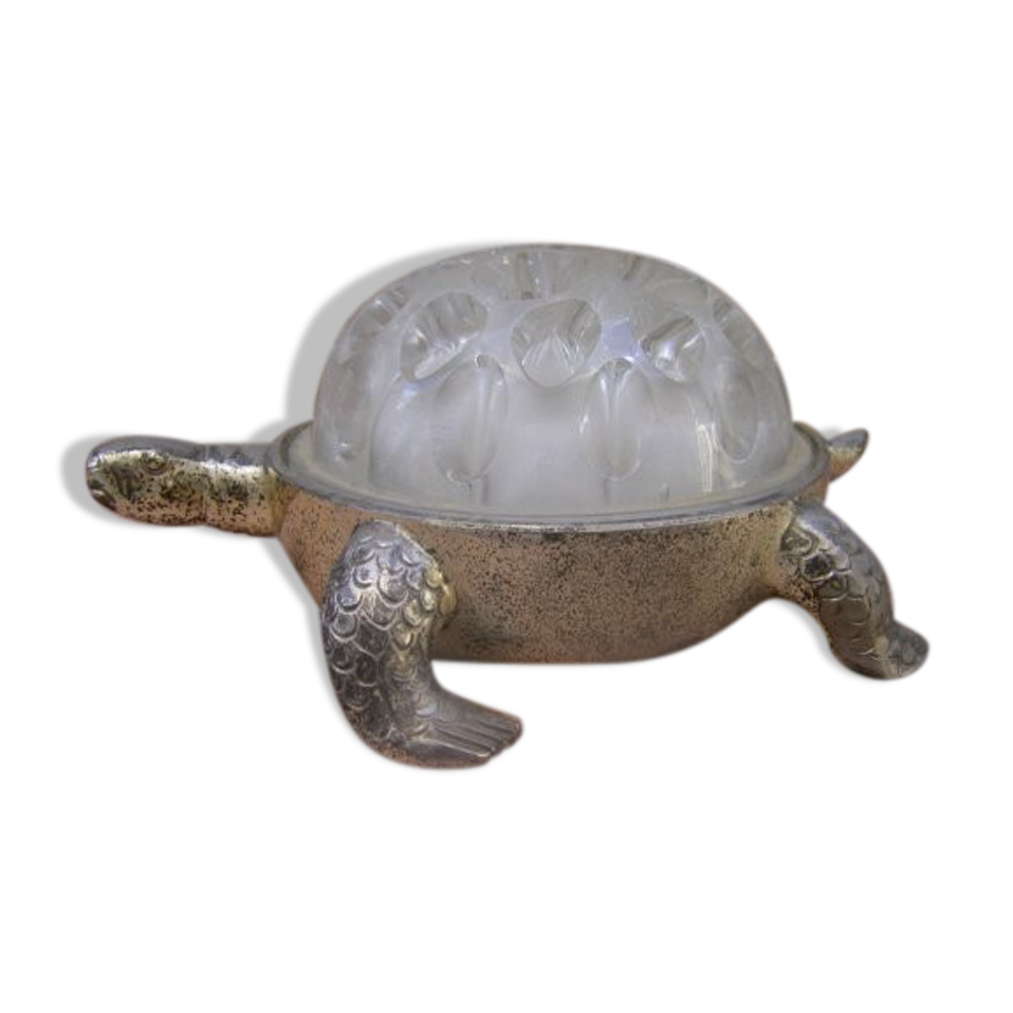 Vintage flower turtle