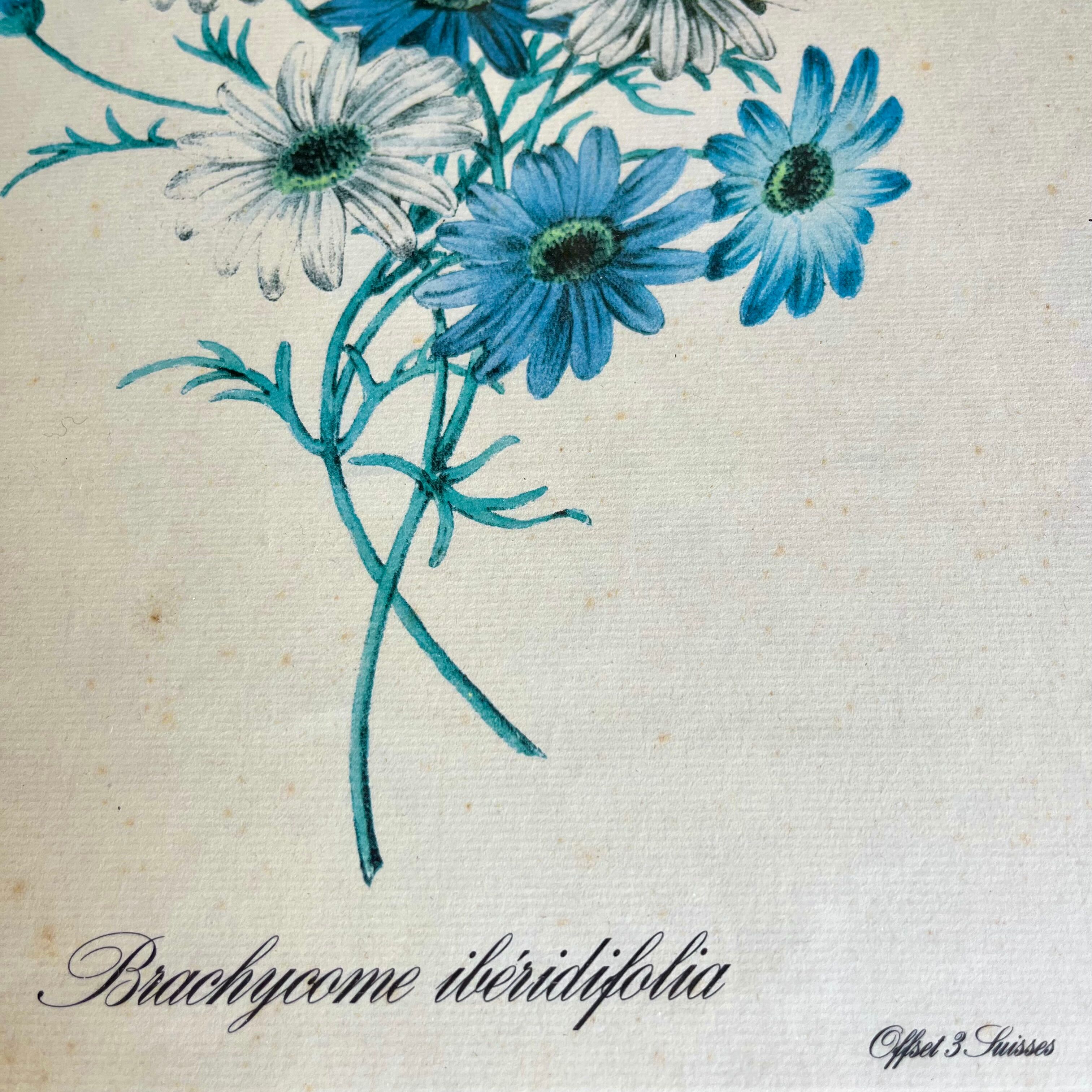 Vintage botanical board frame with blue flowers