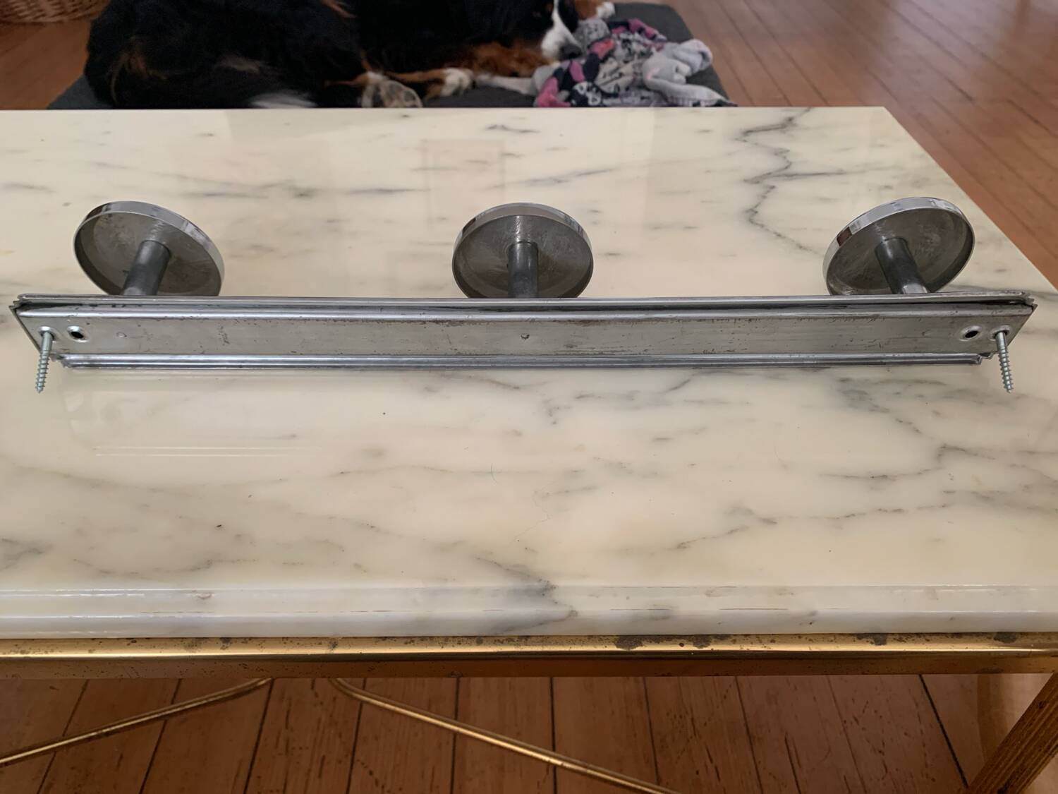 Stainless steel coat rack and towel rack