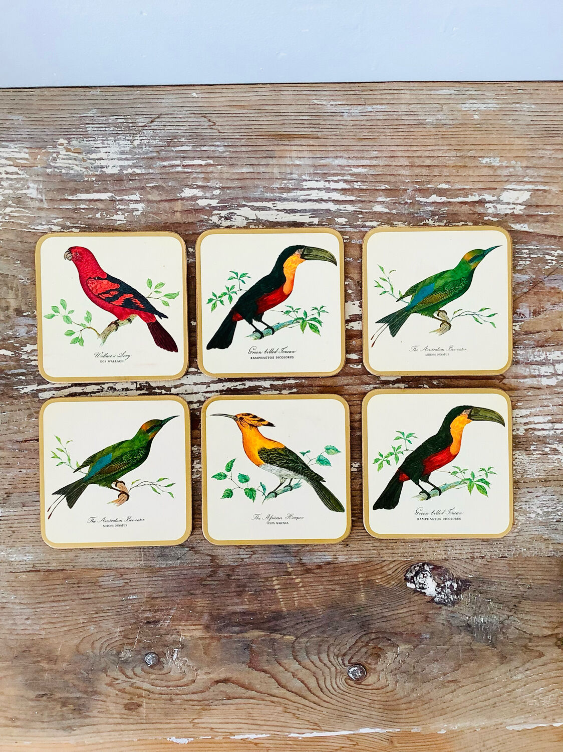 Box of 6 coasters bird motif