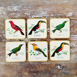 Box of 6 coasters bird motif