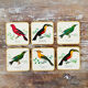 Box of 6 coasters bird motif