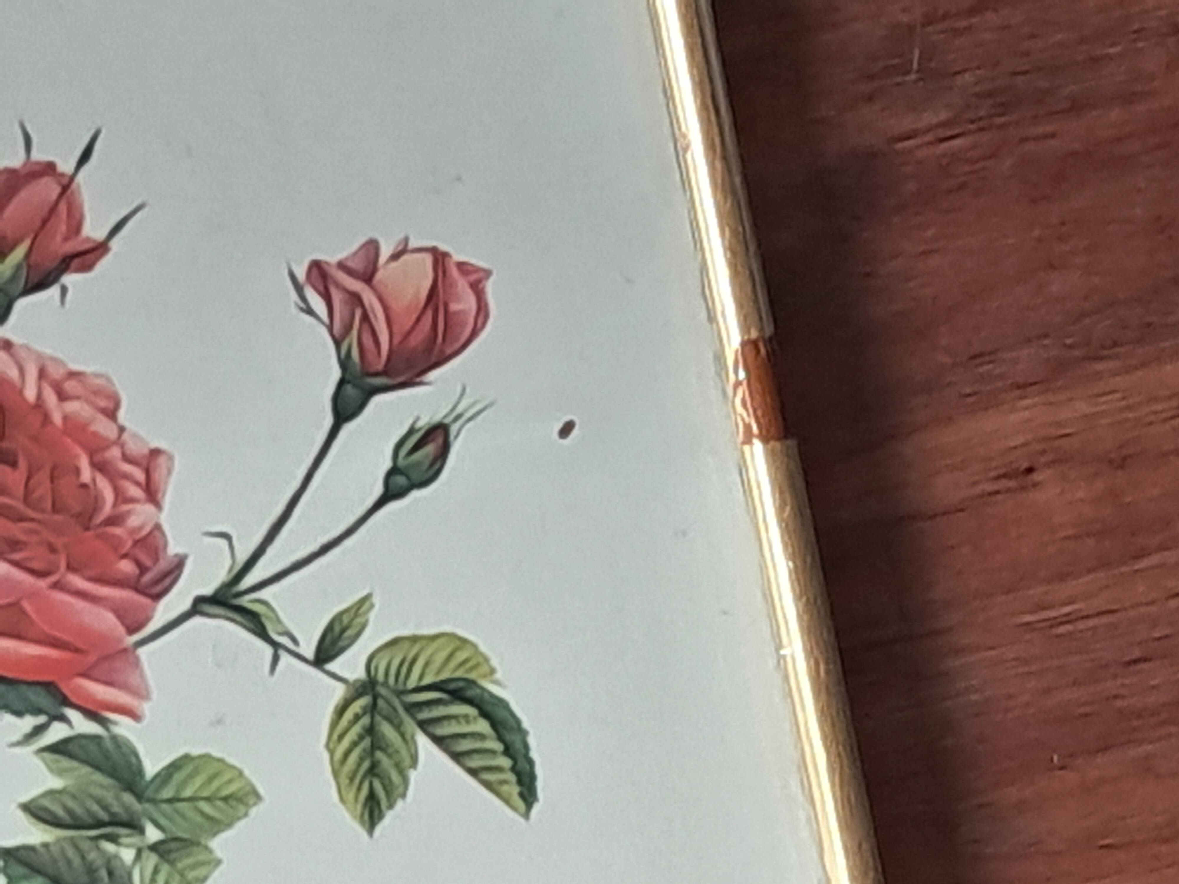 Redouté pink painting