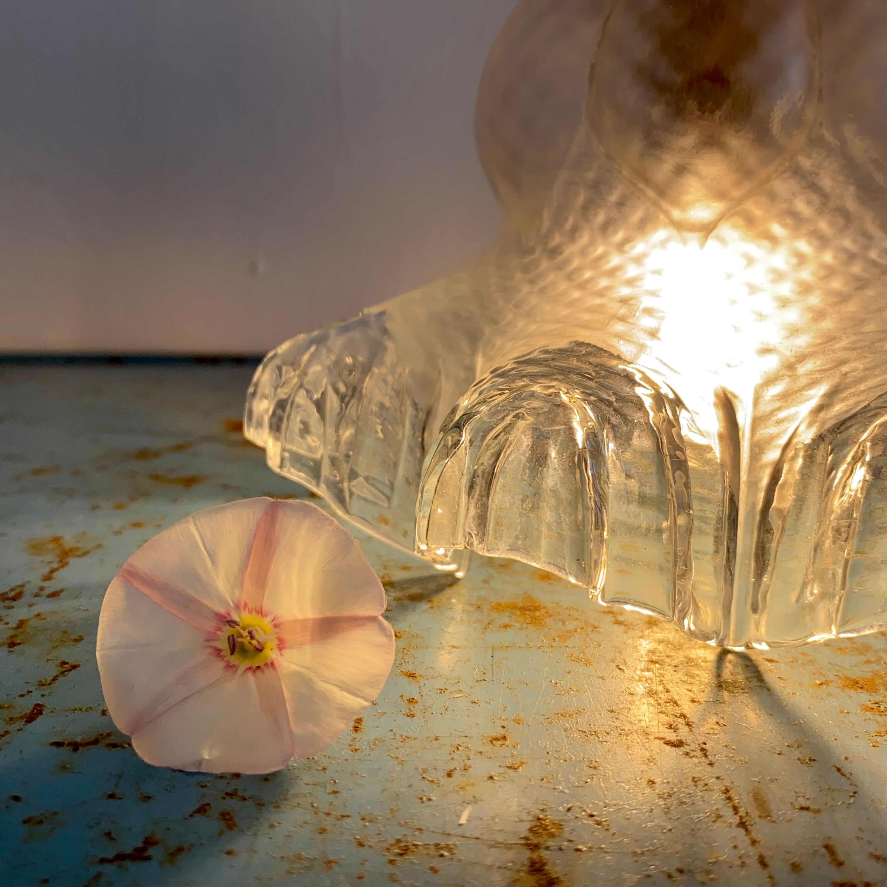 Vintage tulip stroller in transparent and frosted glass