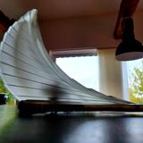 Pair of Art Deco wall lights, feather, wing or horn model