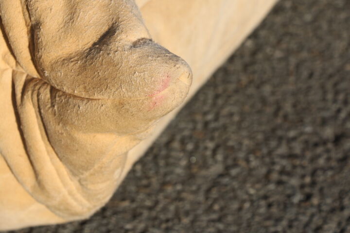 Sofa 2 seater Togo of Michel Ducaroy editor Ligne Roset