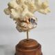 Antique natural coral mounted on turned wooden base, 17 cm