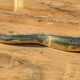Serpent en laiton doré vintage