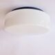 Large Midcentury Flush Mount Milk Glass, RZB Leuchten, Germany, 1970s