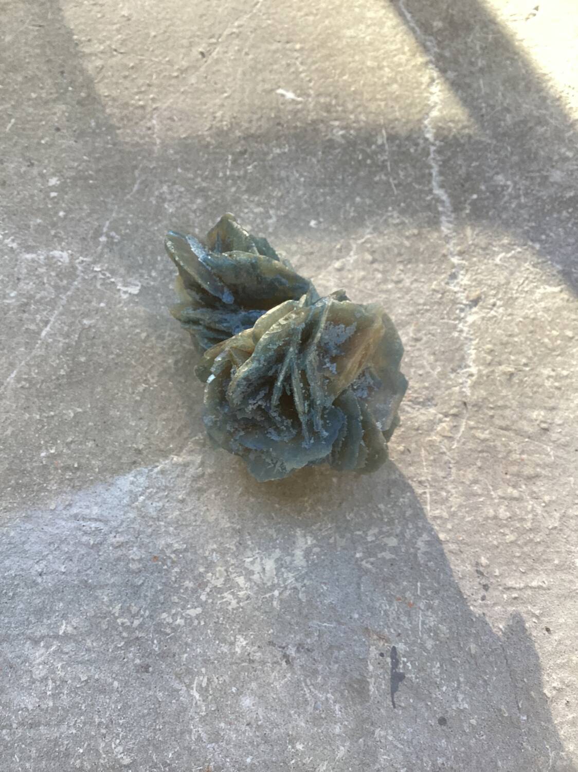 Small blue tinted sand rose