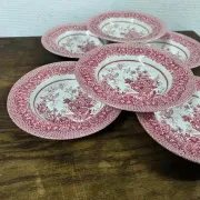 Set of 6 vintage English deep plates – Jardinière model