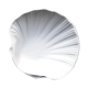 Plat coquille st Jacques