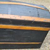 Old curved trunk