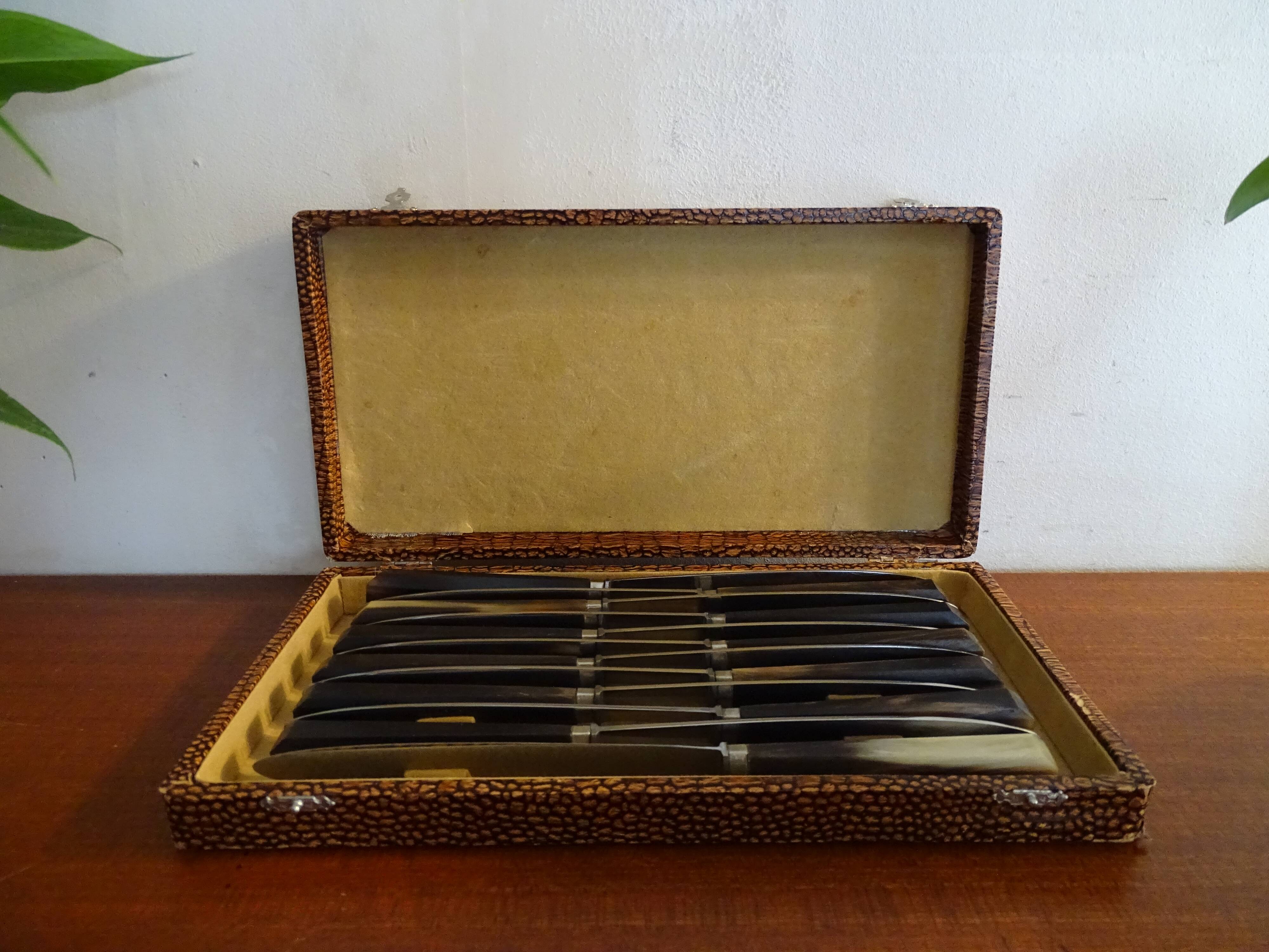 12 vintage dessert knives Pradel horn sleeves in case