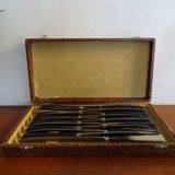 12 vintage dessert knives Pradel horn sleeves in case