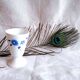 Mazagran en porcelaine de Limoges aux fleurs B.S Digne