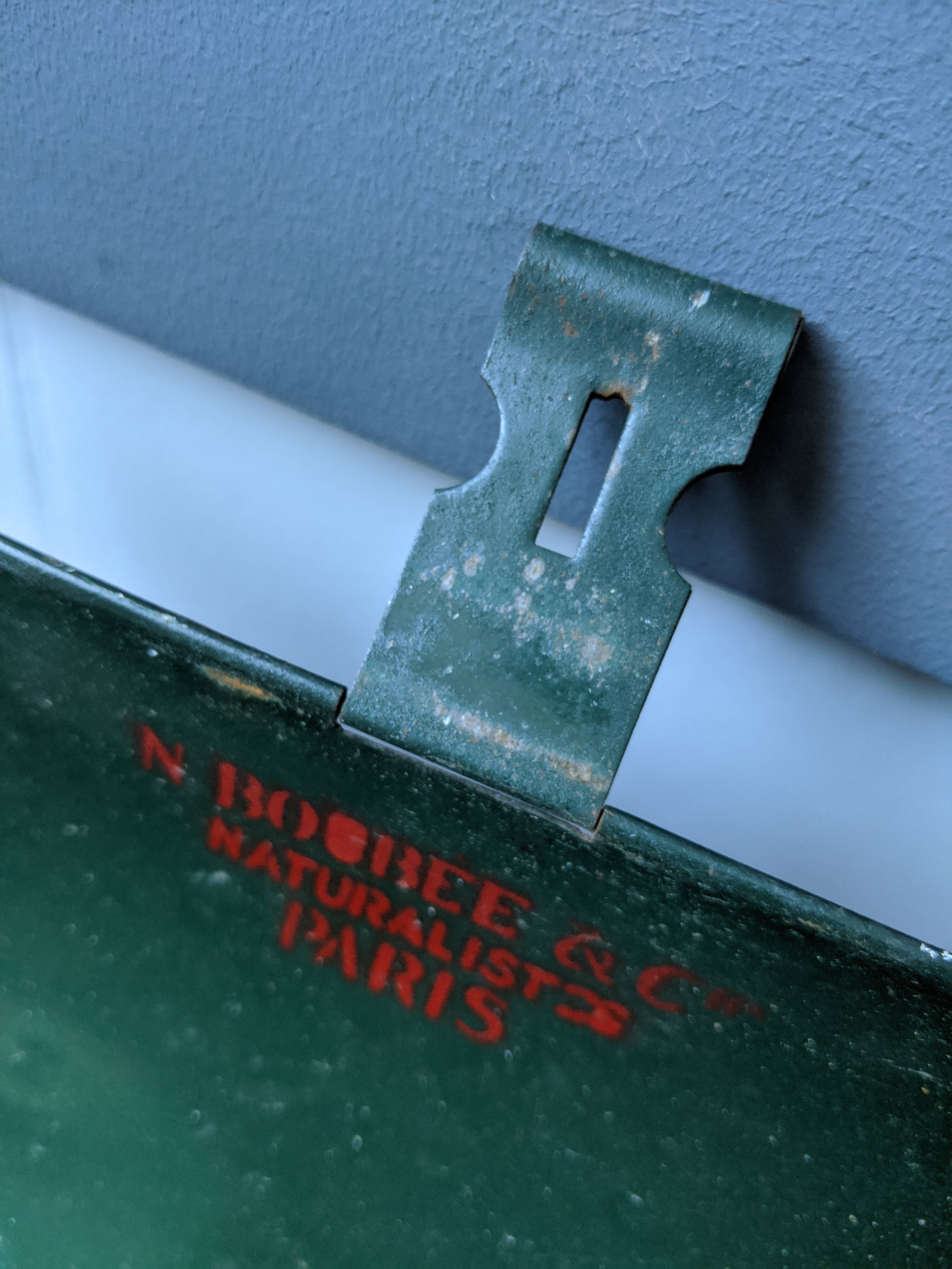 Former herbalist box circa 1950