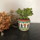 Ancient earthenware pot cover