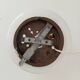 Vintage opaline ceiling light from the 50s/60s