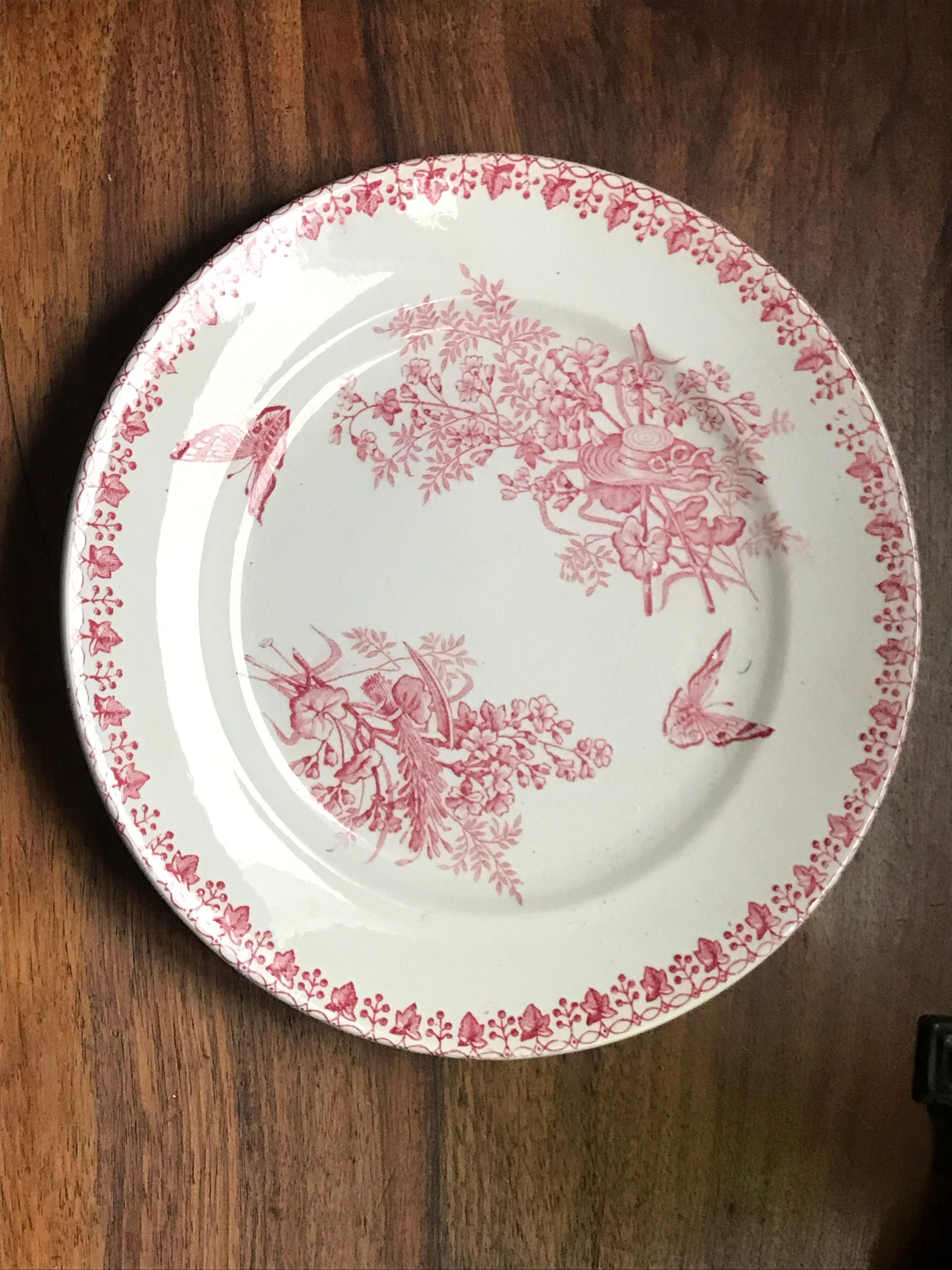 Lot of 9 plates iron earth circa 1900