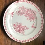 Lot of 9 plates iron earth circa 1900