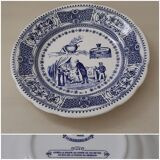 Rebus plates