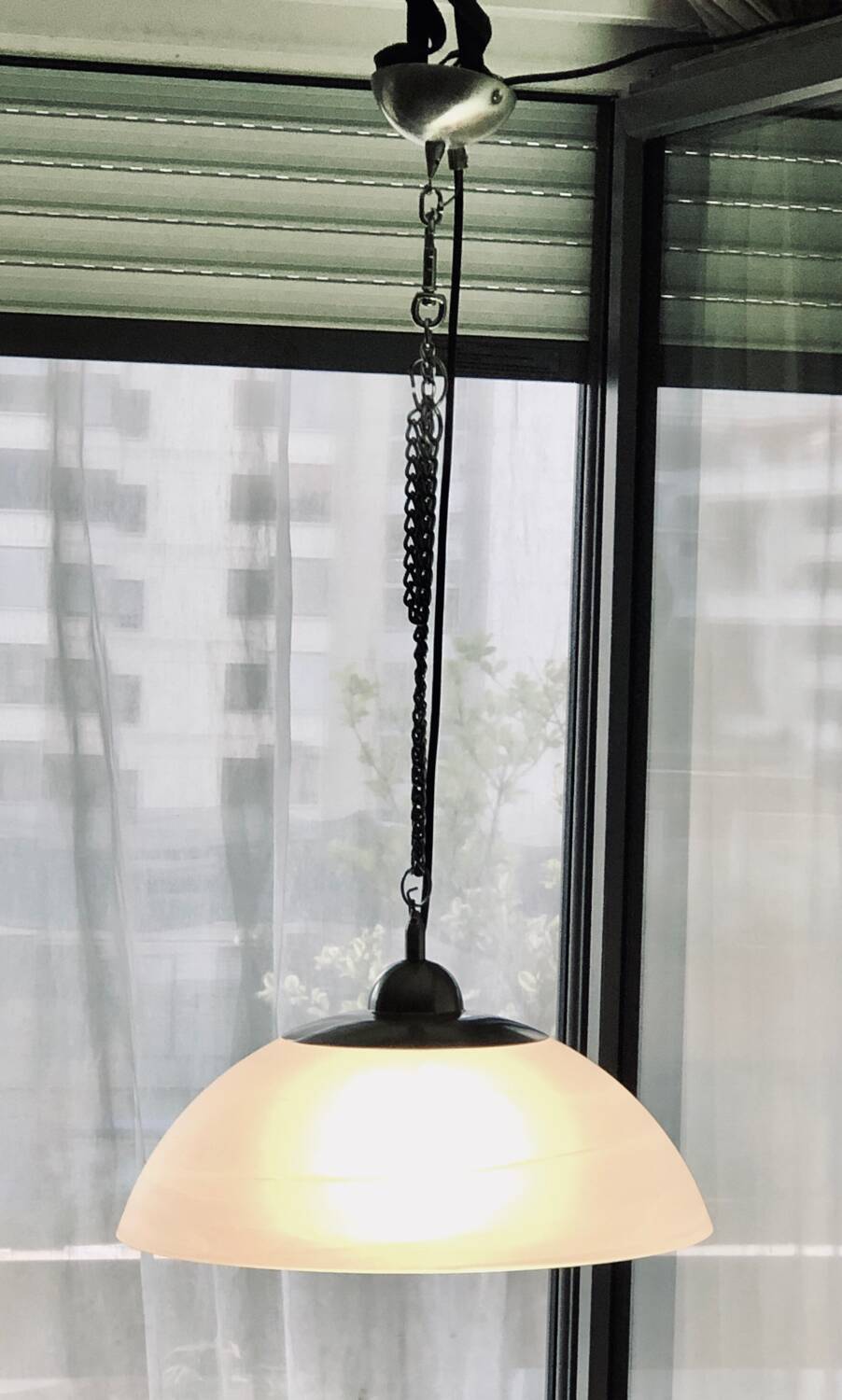 Molded glass pendant light