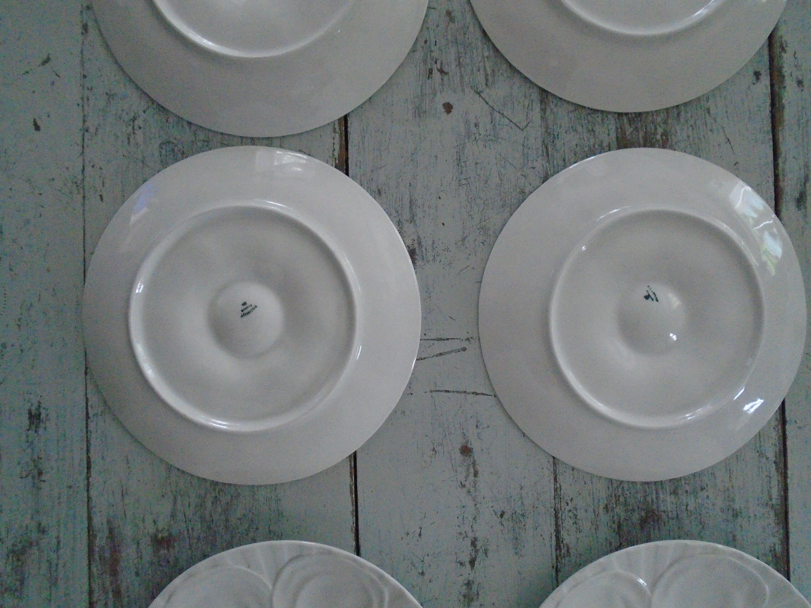 6 plates with white presentation oysters Pillivuyt France