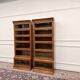 Classic English Globe Wernicke Style Bookcase