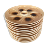 Set of 12 oyster plates
