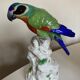 19th century Saxony porcelain parrot signed
