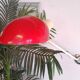 Applique murale  "Casquette" 1960s