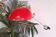 Applique murale  "Casquette" 1960s