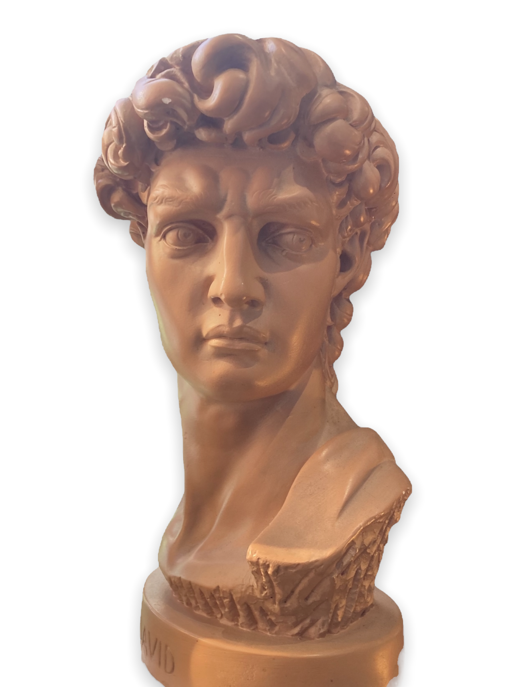 Bust David in plaster