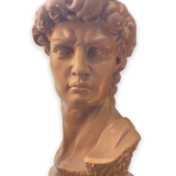 Bust David in plaster