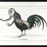 Chimera lithograph animal engraving - the coquandérou