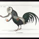 Chimera lithograph animal engraving - the coquandérou