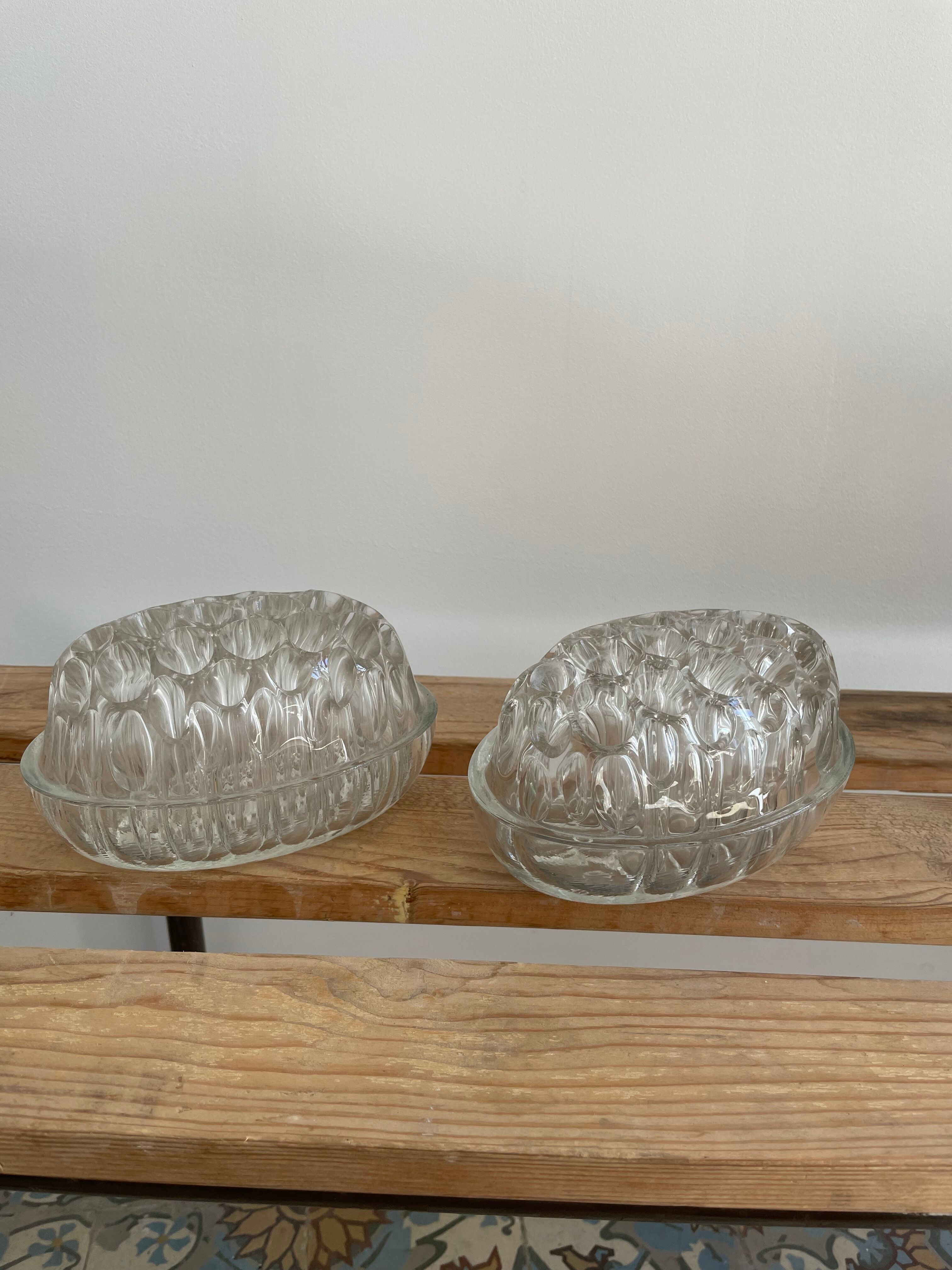 Duo of picnic flowers