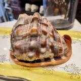 Ciprea blackcurrant rufa shell