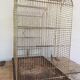Cage à oiseau ancienne