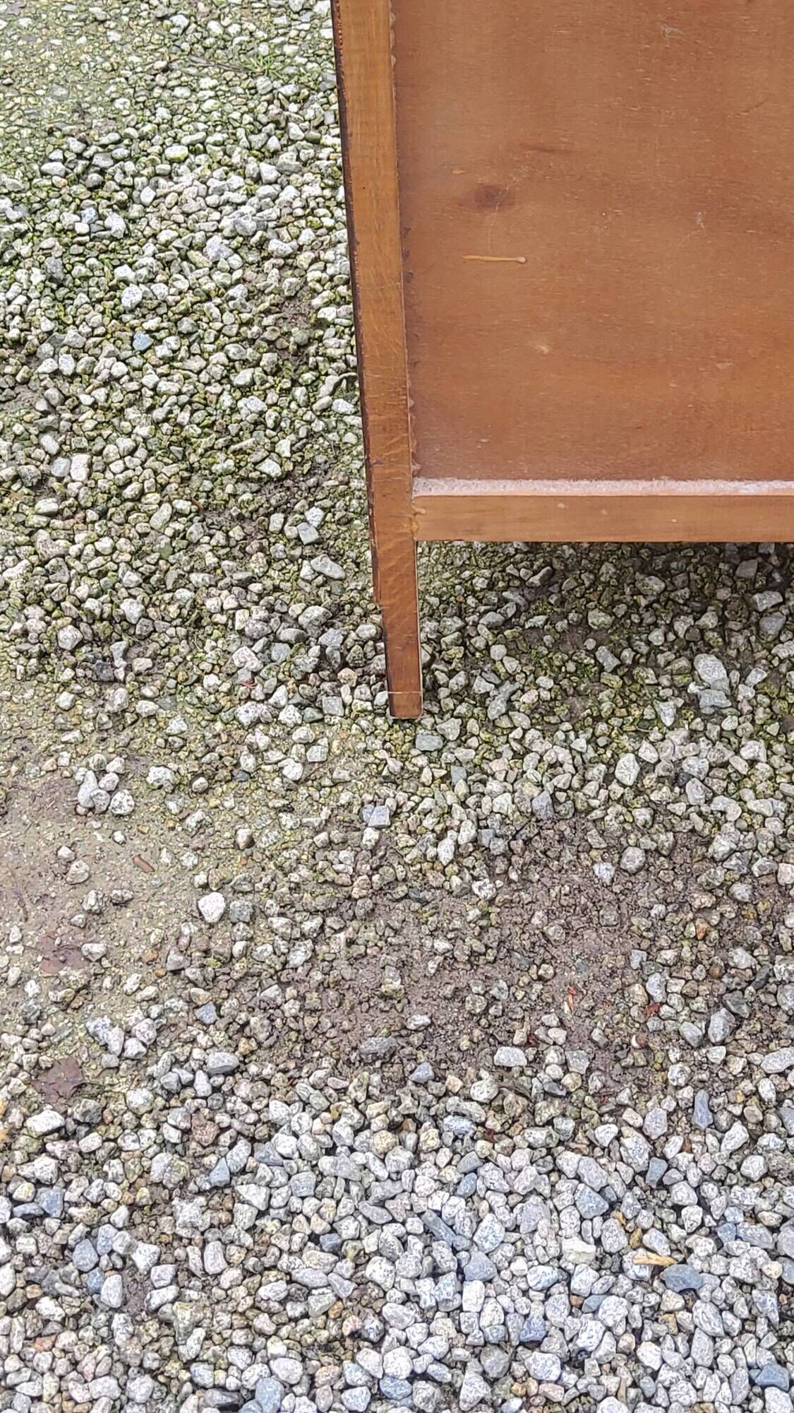 Vintage chest of drawers in walnut compass legs 4 drawers from the 1950s